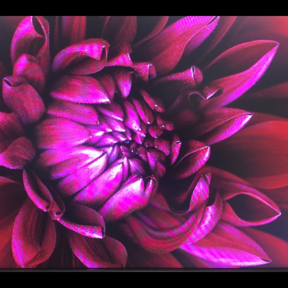 Meet the Posher Other - Meet your Posher, Andrea